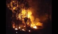 Incendio forestal en Pinar del Río