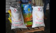 El Presidente de la República de Cuba, Miguel Díaz-Canel Bermúdez, en visita a la Empresa Agroindustrial de Granos Los Palacios, en Pinar del Río. 