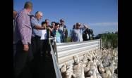 El Presidente de la República de Cuba, Miguel Díaz-Canel Bermúdez, en visita a la Empresa Agroindustrial de Granos Los Palacios, en Pinar del Río. 