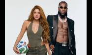 Por primera vez en la historia de los mundiales la FIFA determinó el uso de hasta cinco canciones oficiales del torneo, y es Dai Dai, de Shakira, la escogida como canción principal del evento.