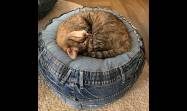 Un escondite en casa para tu mascota