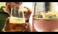 Cerveza en polvo