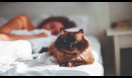 Tener mascotas en la misma habitación o haber consumido alimentos menos sanos puede detonar trastornos en el período de descanso.
