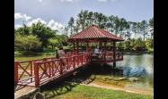 El Jardín Botánico Nacional