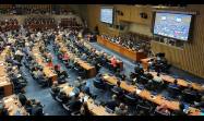Naciones Unidas