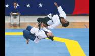 Taekwondo