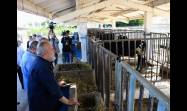 El primer ministro, Manuel Marrero Cruz, recorrió entidades y formas productivas vinculadas a la actividad agropecuaria en Artemisa.