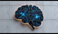 Cerebro