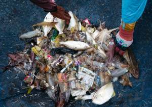 Urge un cambio sistémico para detener el flujo de desechos plásticos