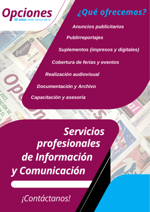 Servicios Profesionales de Información y Comunicación