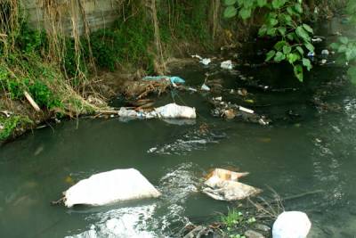 Arroyo de aguas negras