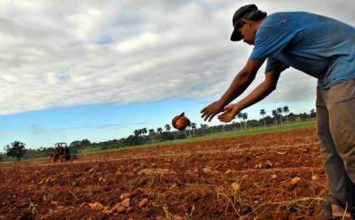 Reajuste de plantillas laborales en Cuba