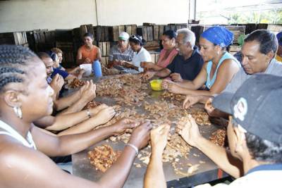 Miniindustrias 