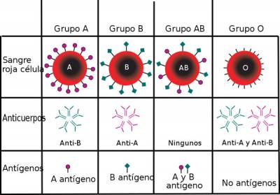 Grupos de sangre