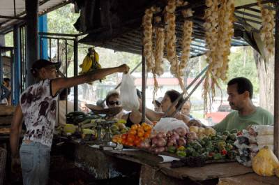 Tarimas de los mercados