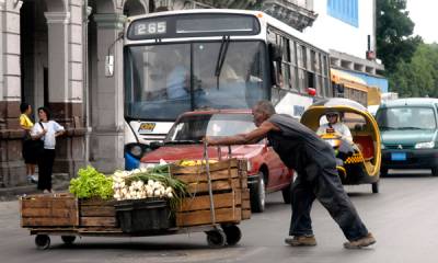 Carretillero cuentapropista