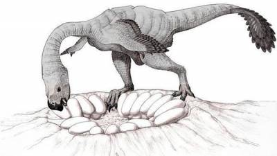 Oviraptor 