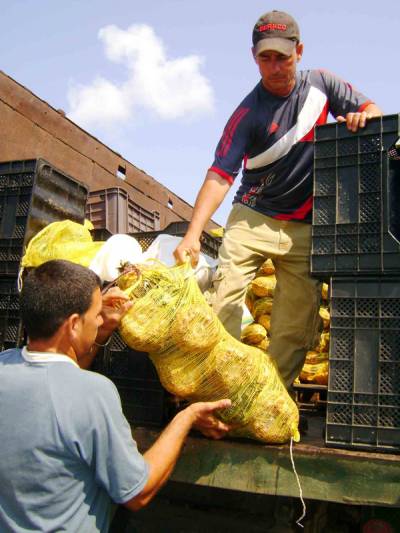 Cooperativa de créditos y servicios