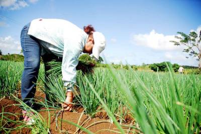 Agricultura