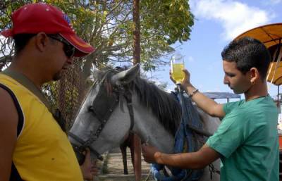 Centro Nacional de Sanidad Agropecuaria