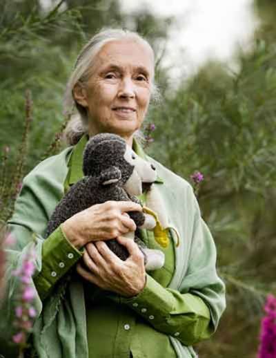 Jane Goodall