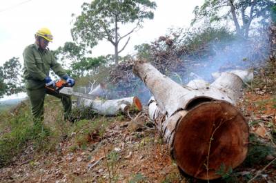 Prevención de incendios