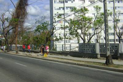 Rehabilitación del arbolado y las áreas verdes de la ciudad de Santiago de Cuba