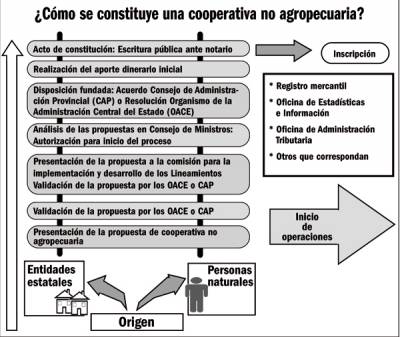 Cooperativa no agropecuaria