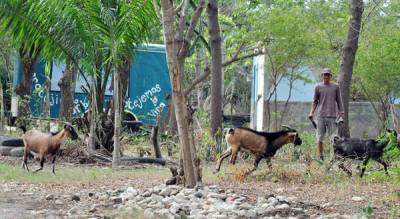 Centro Ecológico Procesador de Residuos Urbanos