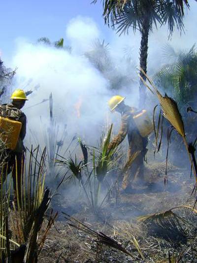 Fuego en la meseta de San Felipe