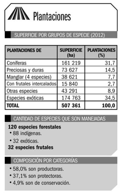 Plantaciones