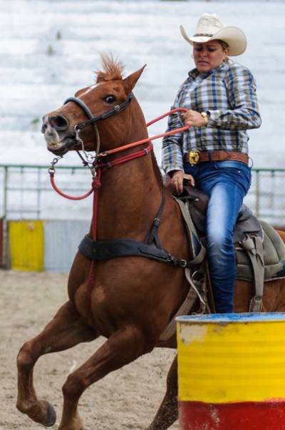 Campeonato de Rodeo Nacional e Internacional en Fiagrop 2014