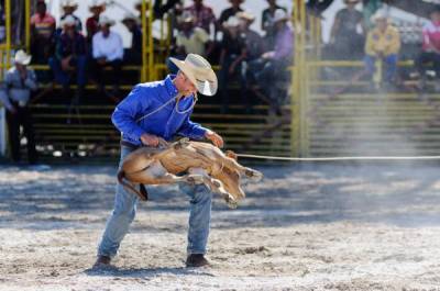 Campeonato de Rodeo Nacional e Internacional en Fiagrop 2014