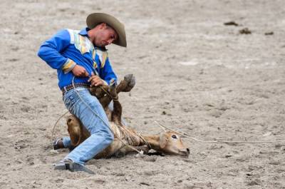 Campeonato de Rodeo Nacional e Internacional en Fiagrop 2014