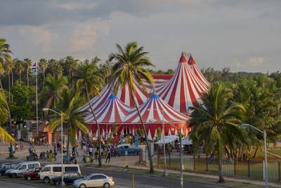 Génesis de las carpas cubanas