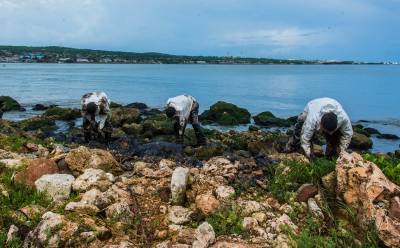 El medioambiente costero de Matanzas se repone