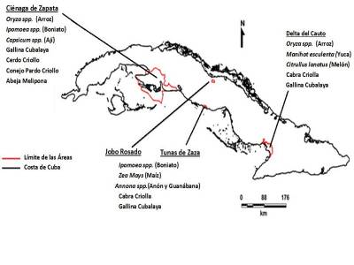 Ciénaga de Zapata