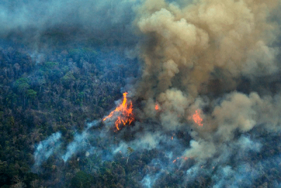 Amazonía en llamas