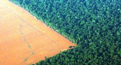 Deforestación amazónica