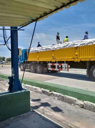 Jóvenes cubanos en labores de producción