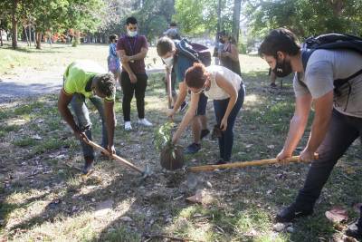 Siembra de árboles por la Unión de Jóvenes Comunistas (UJC) por el cuidado del medio ambiente. 