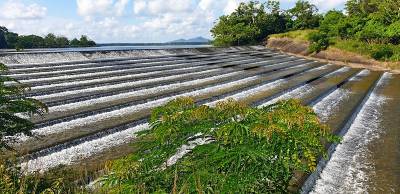 Presa Vietnam