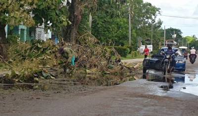 Impacto de Ida en la Isla