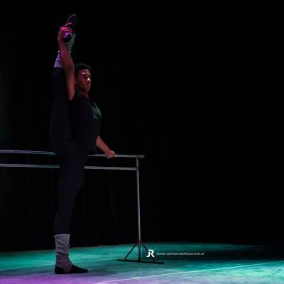 Conferencia Un encuentro con la danza, la técnica, la expresión y los estilos