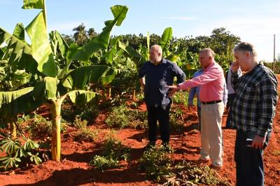 Asimismo dialogó con el productor de Guanajay, y Alexander Escalona Clemente, quien siembra cultivos varios y obtiene un rendimiento de hasta 150 libras de frutabomba en cada planta