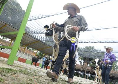 Imágenes de la XXV edición de la Feria Internacional Agroindustrial Alimentaria