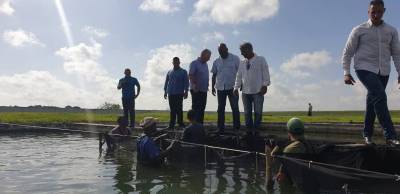 Visita de Díaz-Canel a la Isla de la Juventud