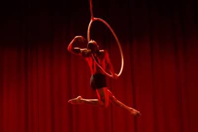 Circuba Internacional 2024 se desarrolló en La Habana