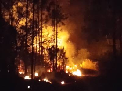 Incendio forestal en Pinar del Río