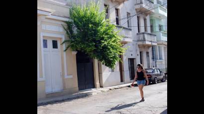 Afectaciones de los árboles a las construcciones capitalinas